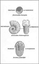 The Student's Elements of Geology