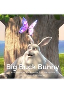 Big Buck Bunny