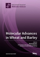 Molecular Advances in Wheat and Barley